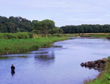 Broad, slower pools nearer to the sea