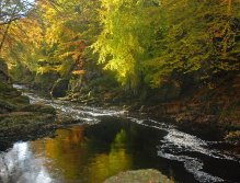 Deep foam-flecked pools hold running salmon
