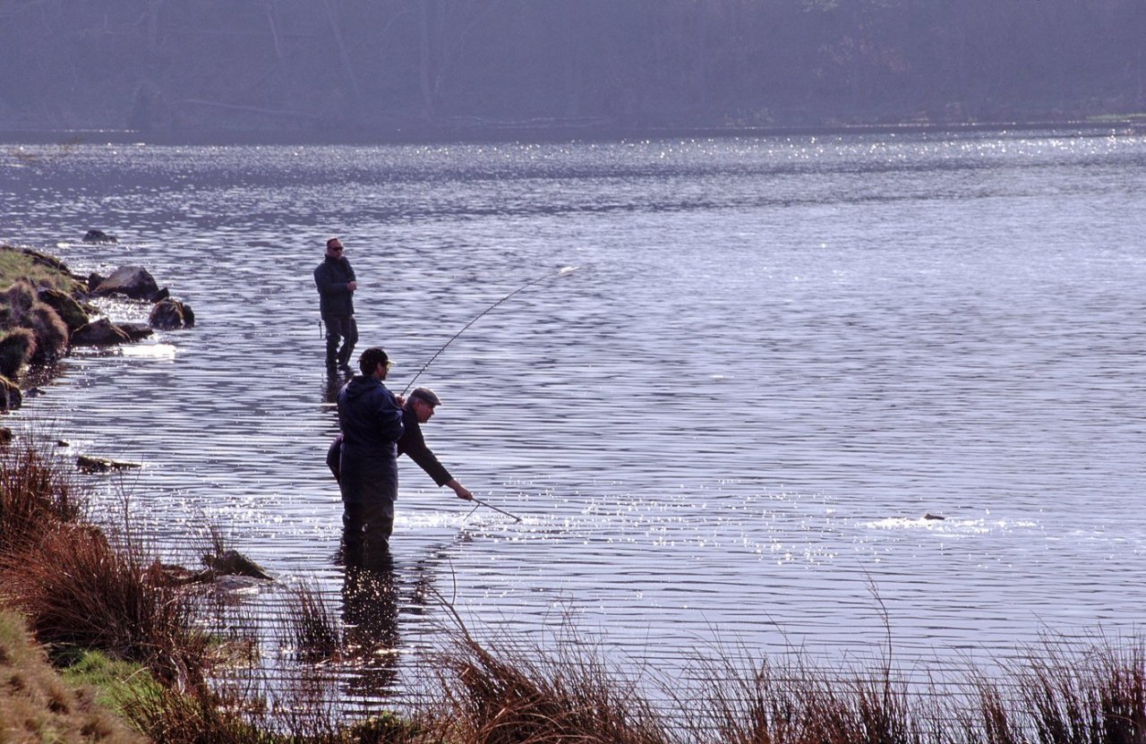 Coldingham Loch