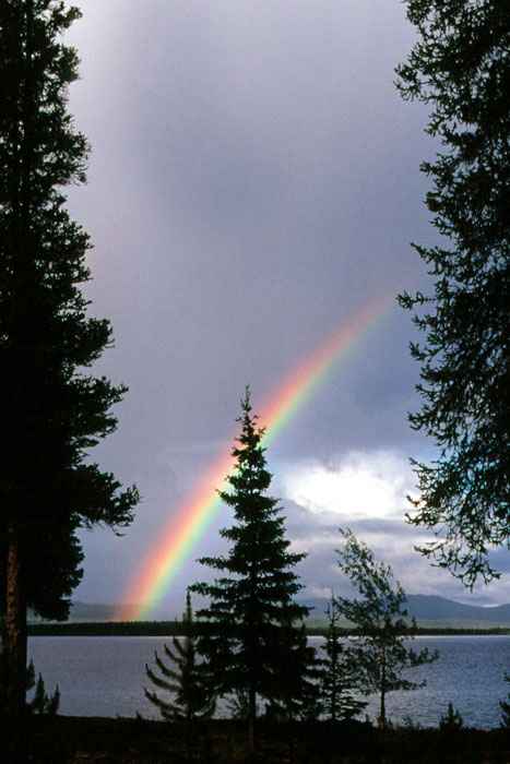 Rainbow at Wolf Lake ,Yukon, Canada