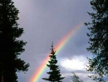 Rainbow at Wolf Lake ,Yukon, Canada