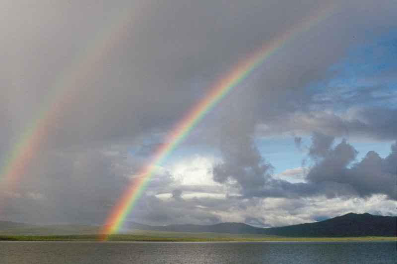 Rainbow Wolf Lake,Yukon, Canada