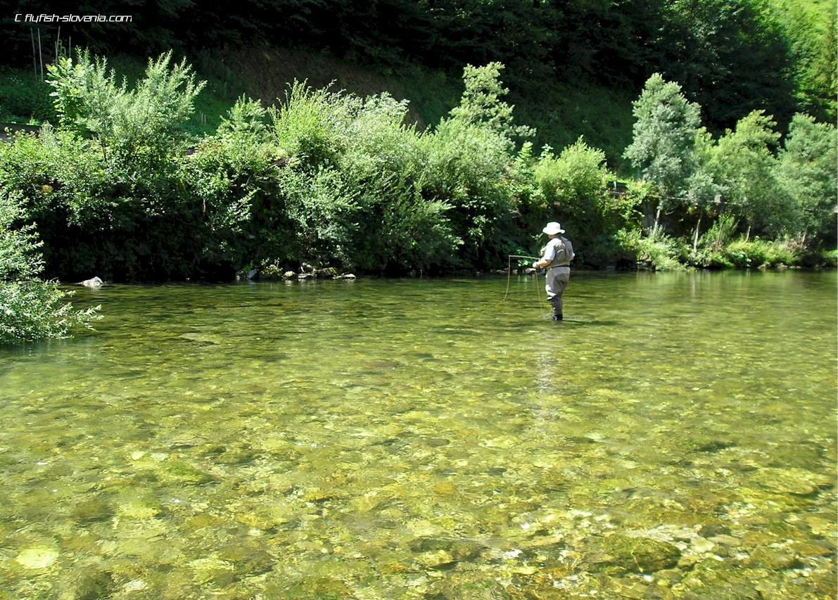 Shallow flats at the Idrijca river
