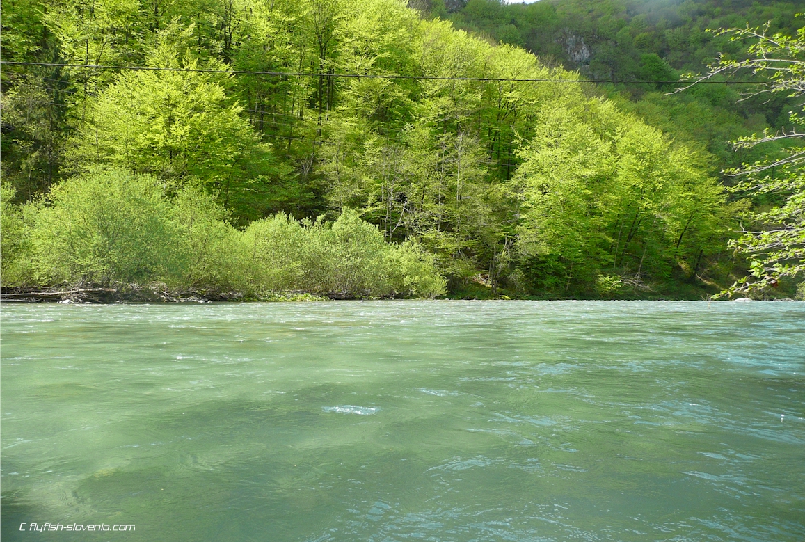 Middle part of the Idrijca river