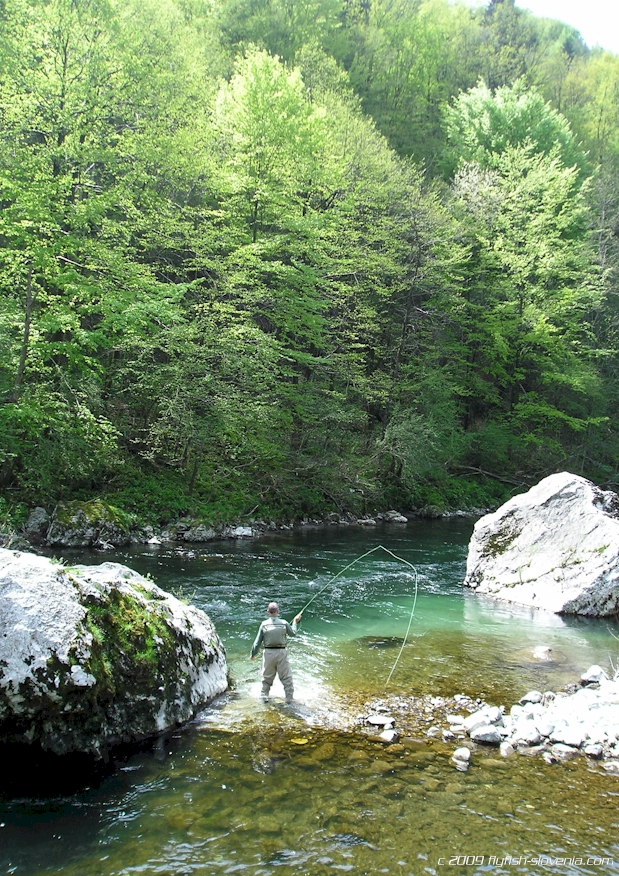 Flyfisherman in the middle part of the Idrijca river