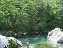 Flyfisherman in the middle part of the Idrijca river