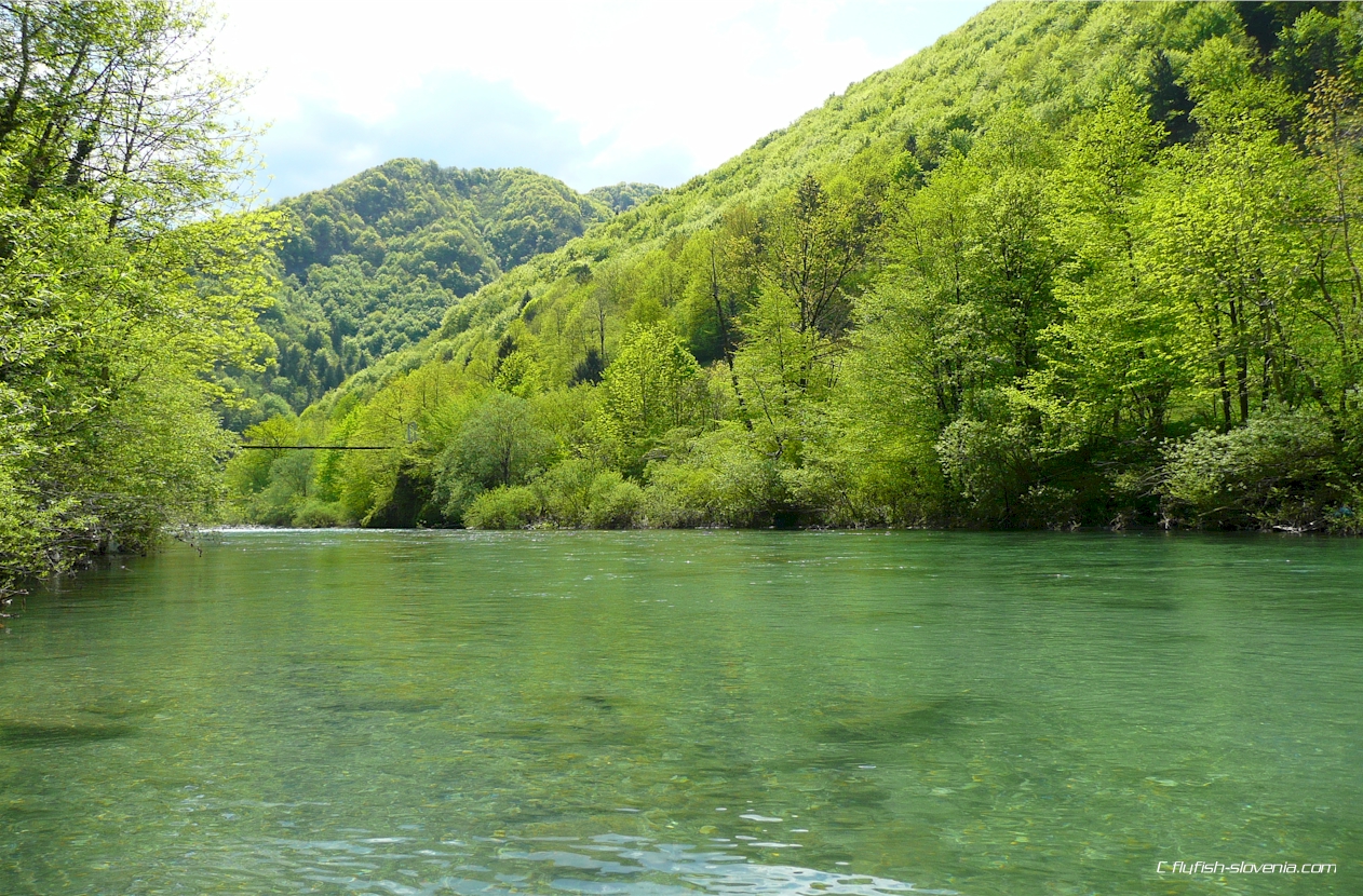 Long pools at the Idrijca river