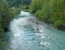 Higher waters at the Idrijca river