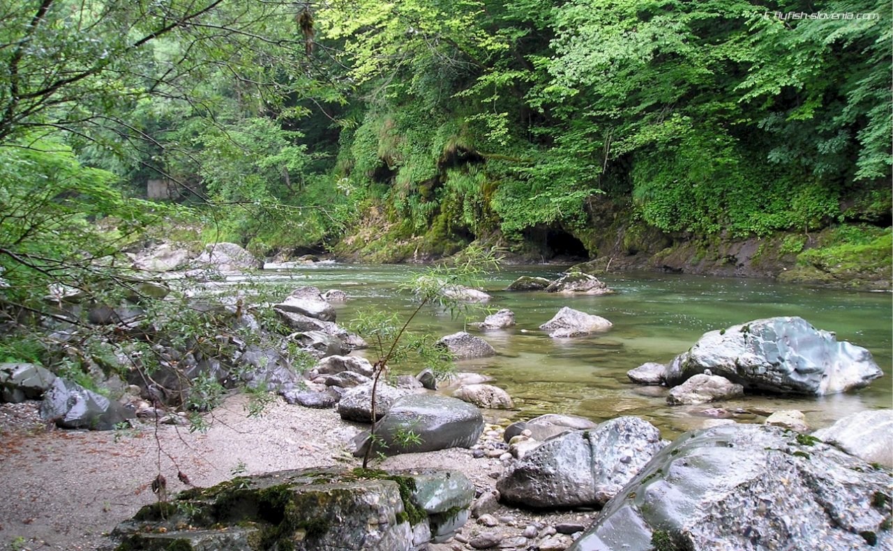 Crystal clear pools of the Idrijca river
