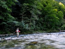 Late afternoon at the Idrijca river