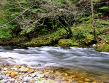 Rapids of the Idrijca river