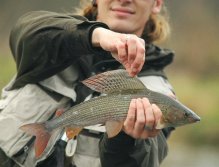 Again Alex and his grayling