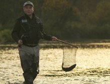 Tibi and 55 cm brown trout
