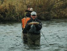 Brown trout caugth in the evening on heavy nymph