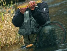 Peter's another brown trout