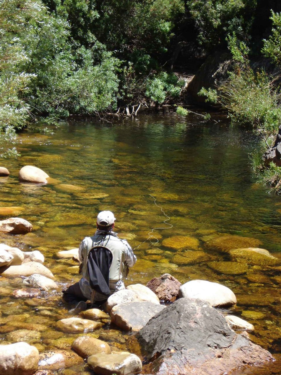 Drifting a dry fly into a little pocket