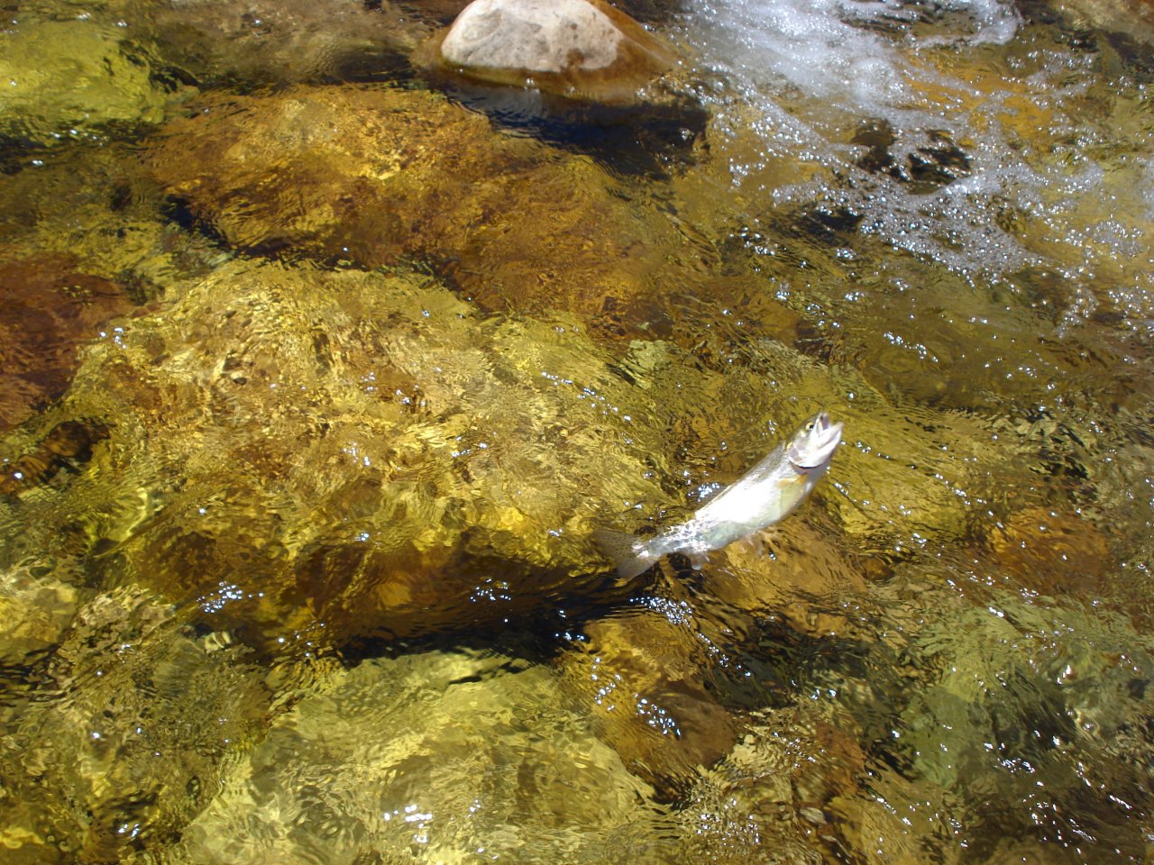 Reaping the rewards of a perfect drift