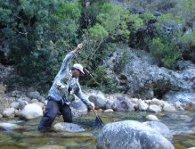 Netting a fish from a little run