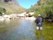 Casting to a free rising fish, is a special treat in this environment