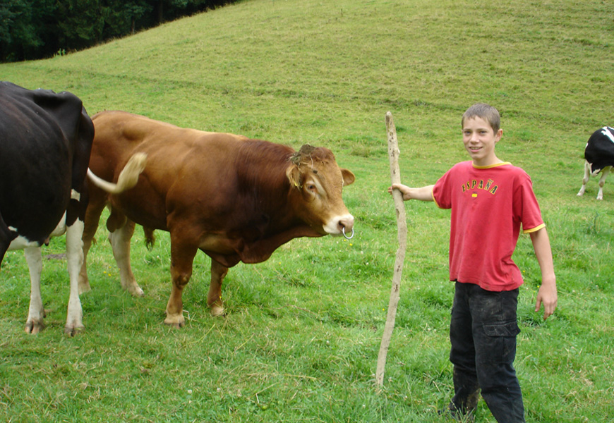 Be aware of the bulls