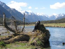 Spotting and stalking trout