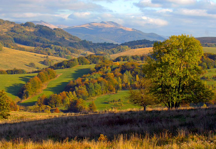 Bieszczady mountains