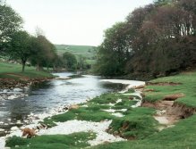 River Warfe
