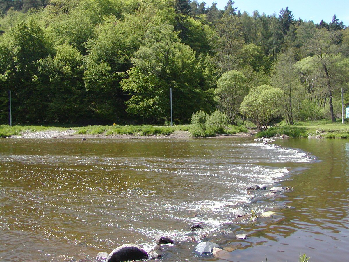 S�zava near Mnichovice