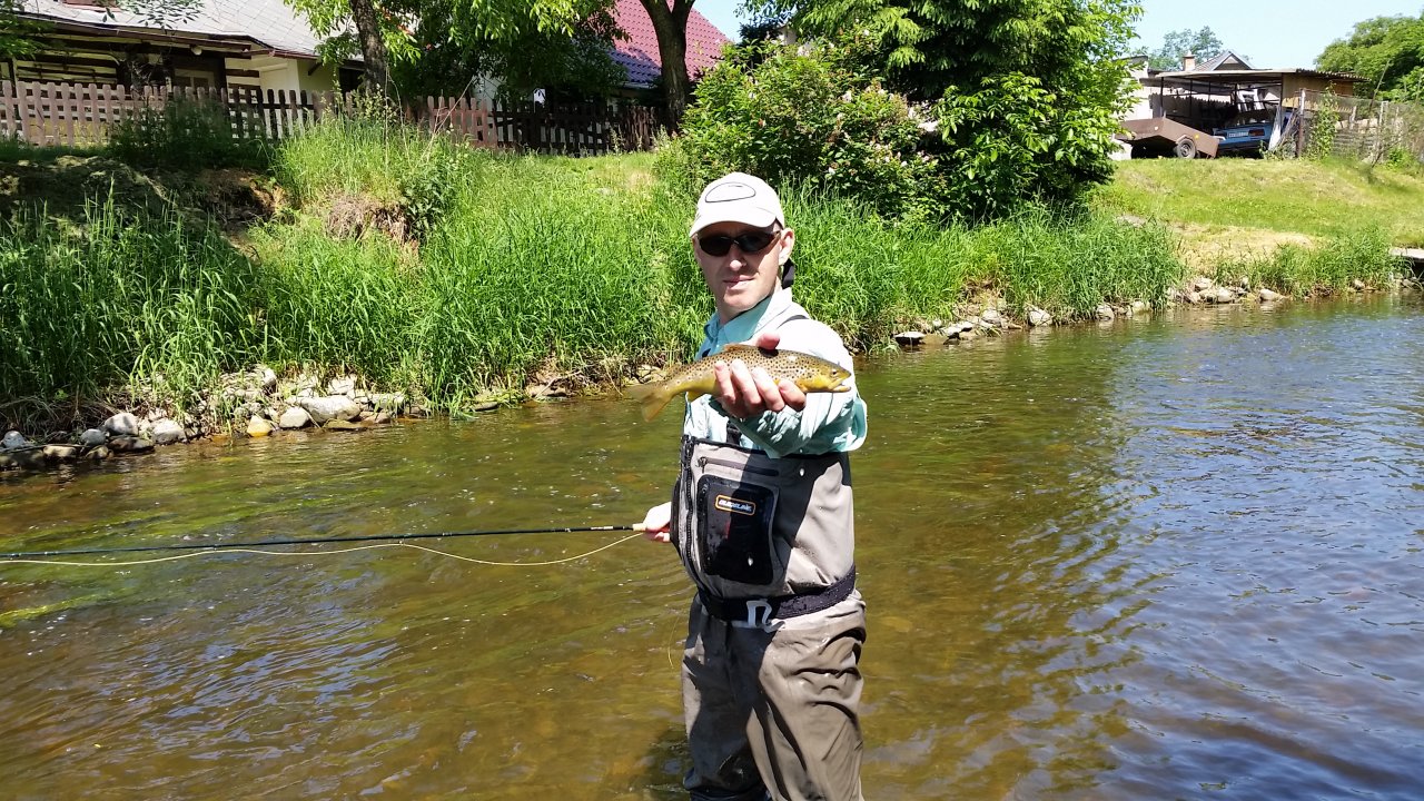 Me and the brown trout