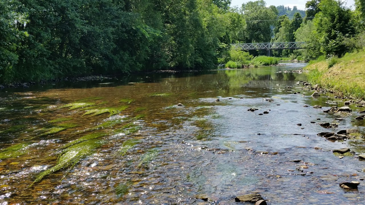 Divok� Orlice near Z�m�l