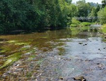 Divoká Orlice near Záměl