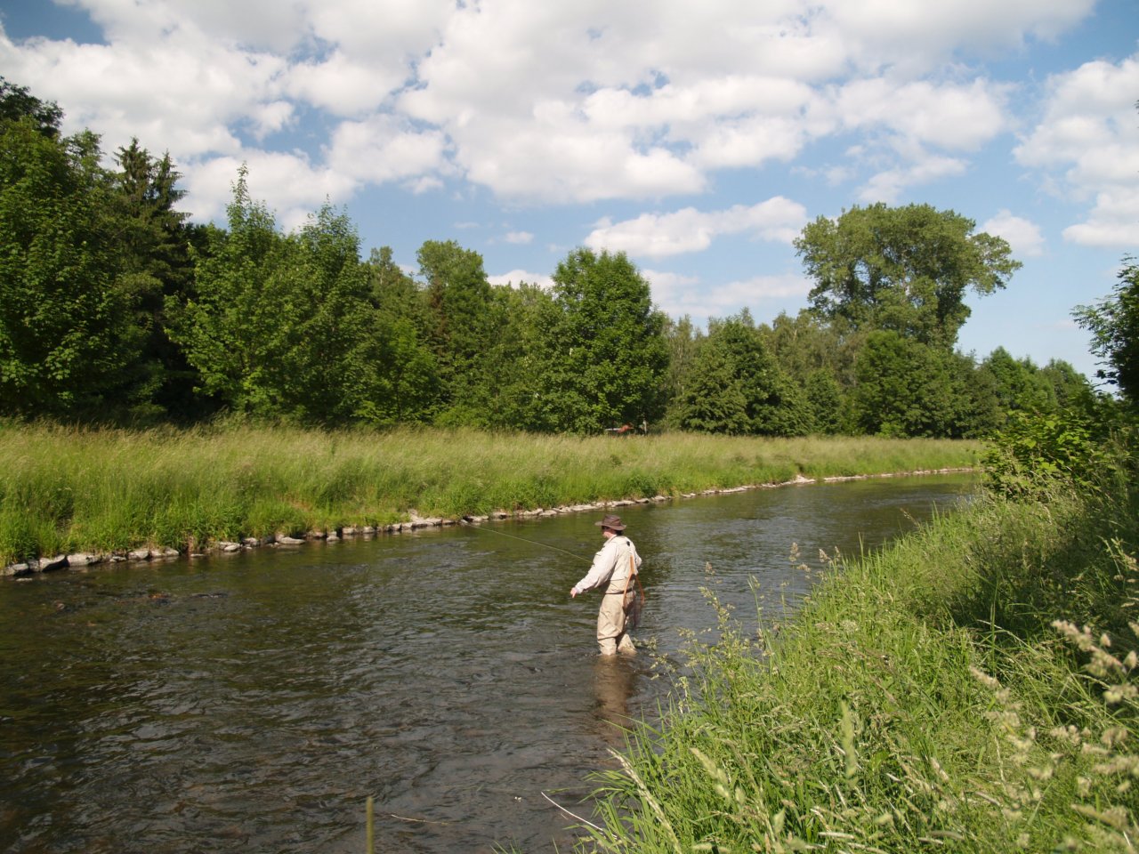 Divok� Orlice below Doudleby