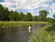 Divoká Orlice below Doudleby