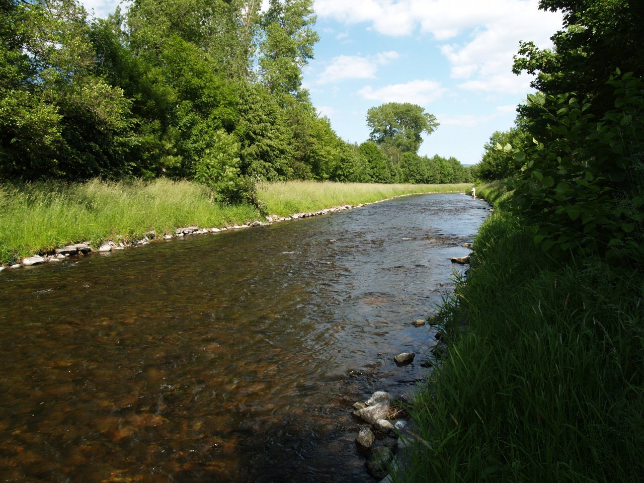 Divok� Orlice below Doudleby