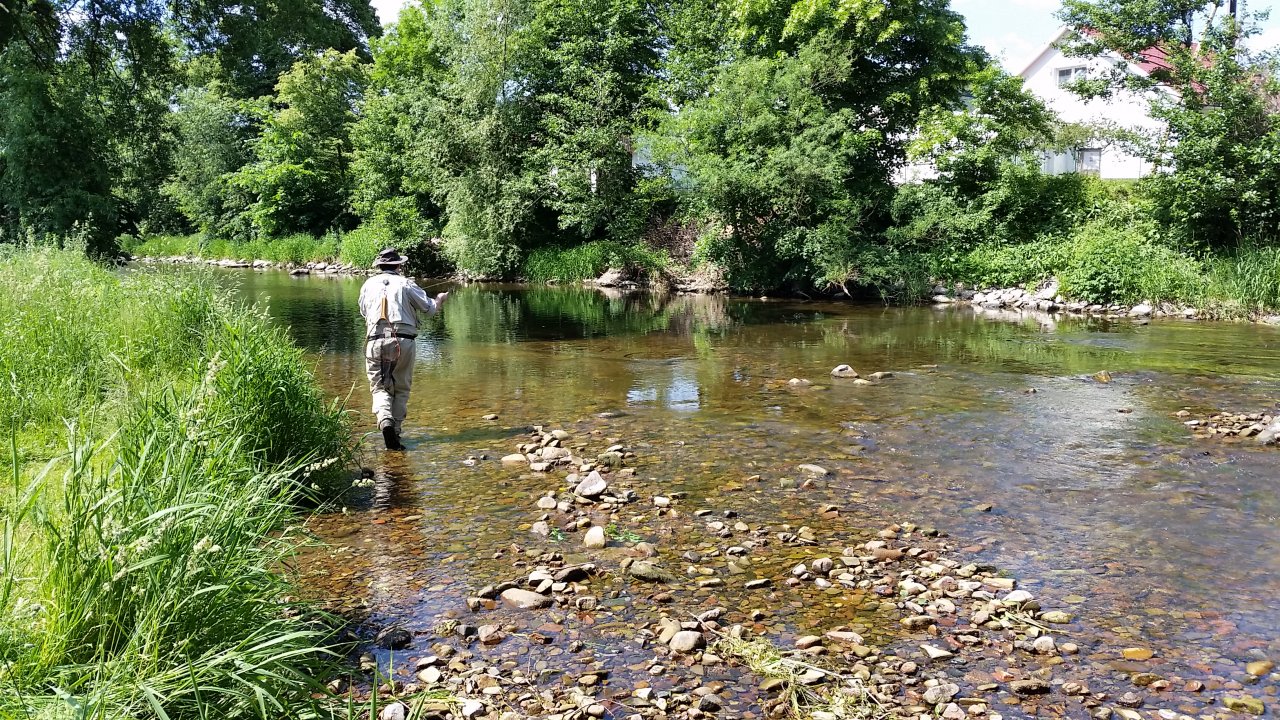 Dry flyfishing on Divok� Orlice