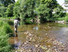 Dry flyfishing on Divoká Orlice