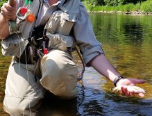 Even the little brook trout brings smile on his face...