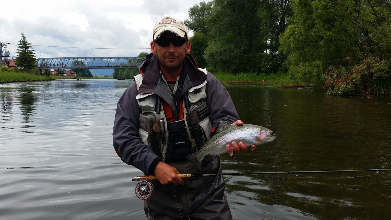 Rainbow trout from V�h river