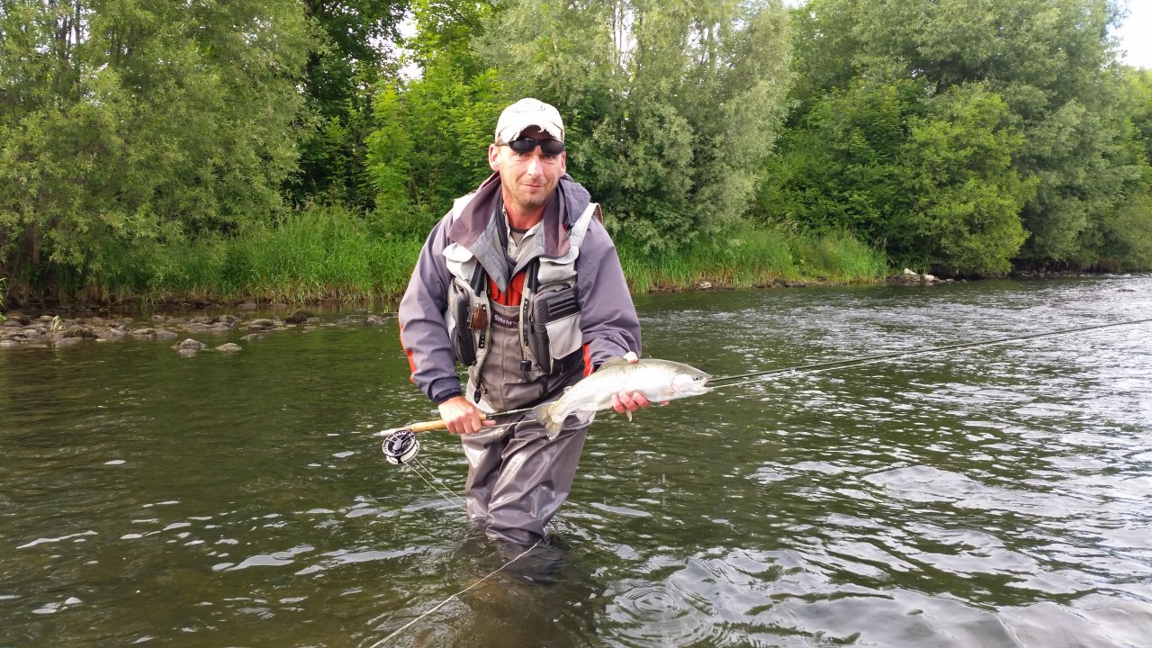 Rainbow trout from V�h river