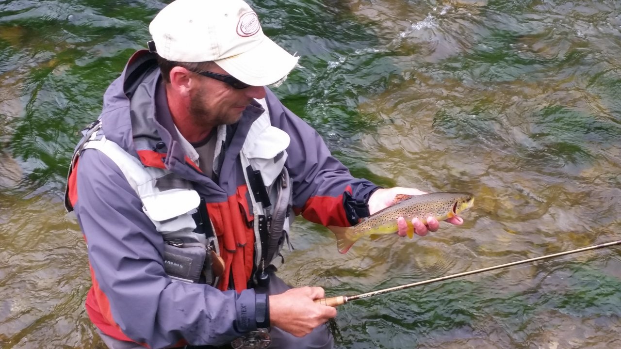 Small trout from upper Rev�ca