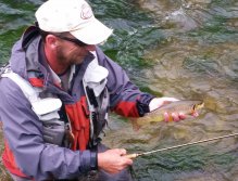 Small trout from upper Revúca
