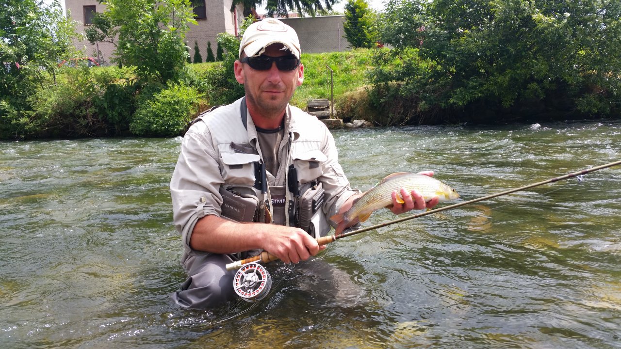 Grayling from Rev�ca