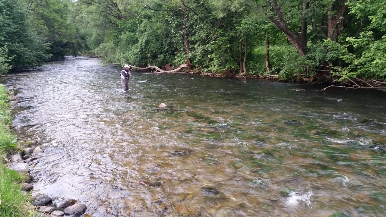Fishing upper Rev�ca