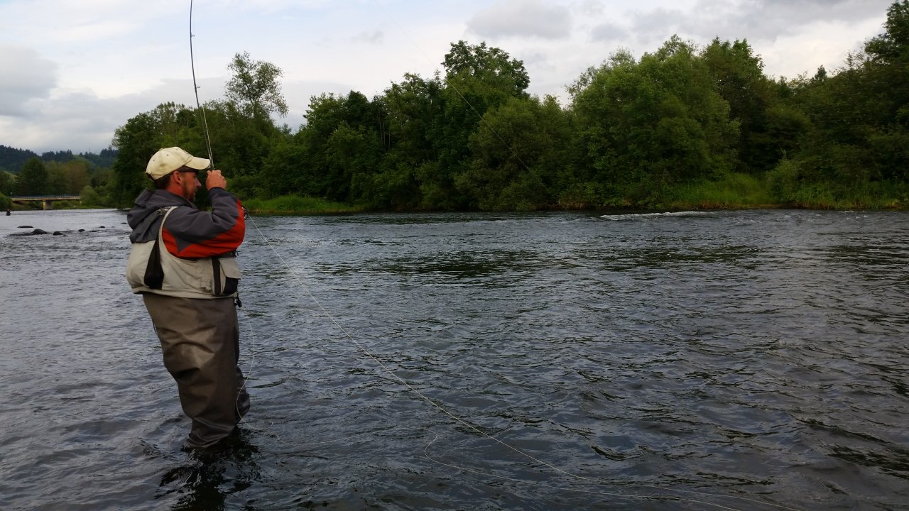 Reeling in the rainbow trout from V�h river