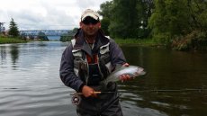 Guide for River Vh - gallery