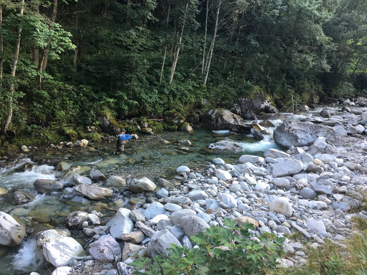 Fly Fishing in Trentino