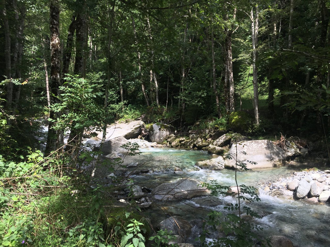 Fly Fishing in Trentino
