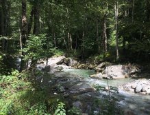 Fly Fishing in Trentino