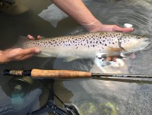 Fly Fishing in Trentino