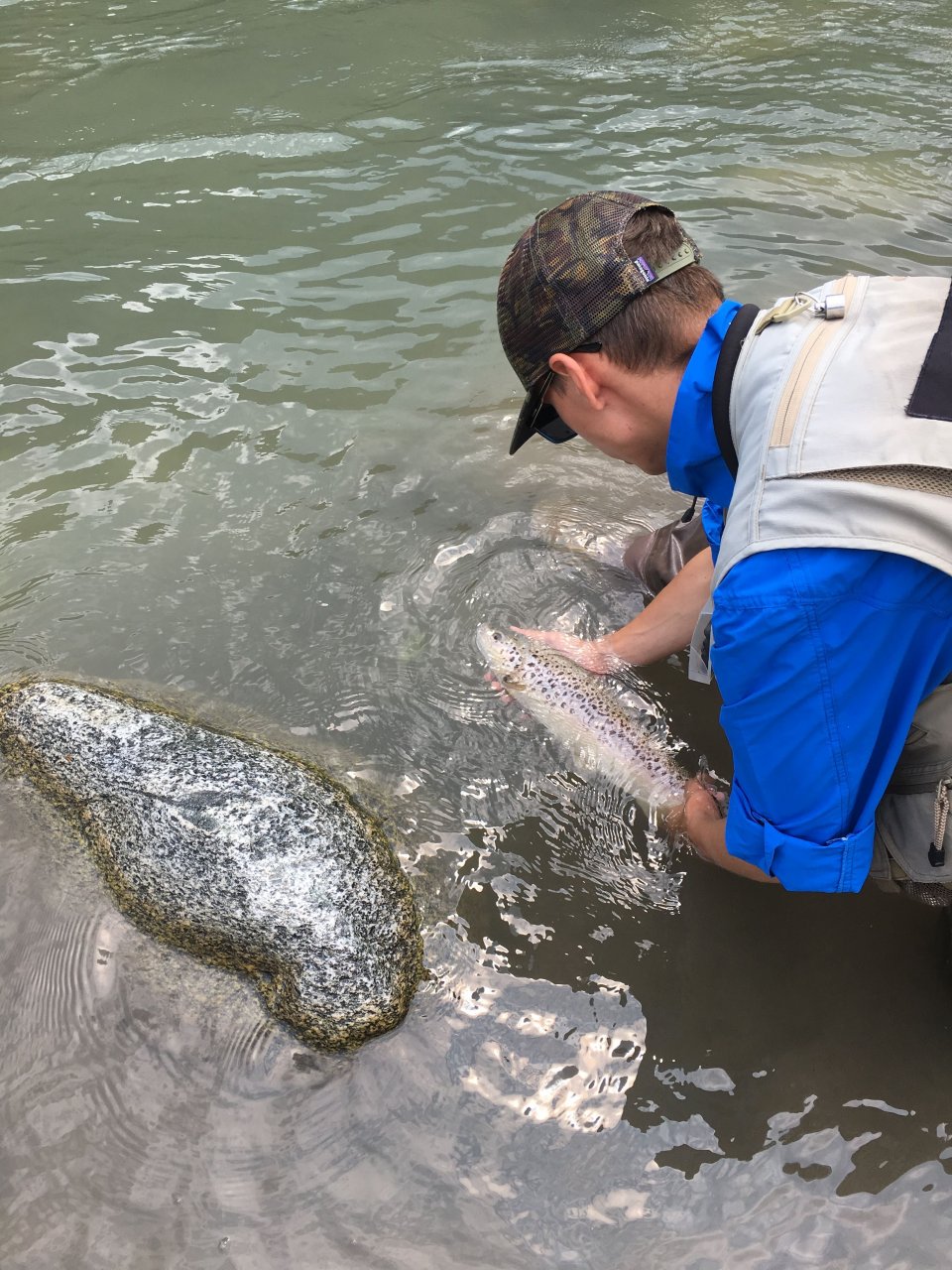 Fly Fishing in Trentino